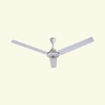SAFARI FAN