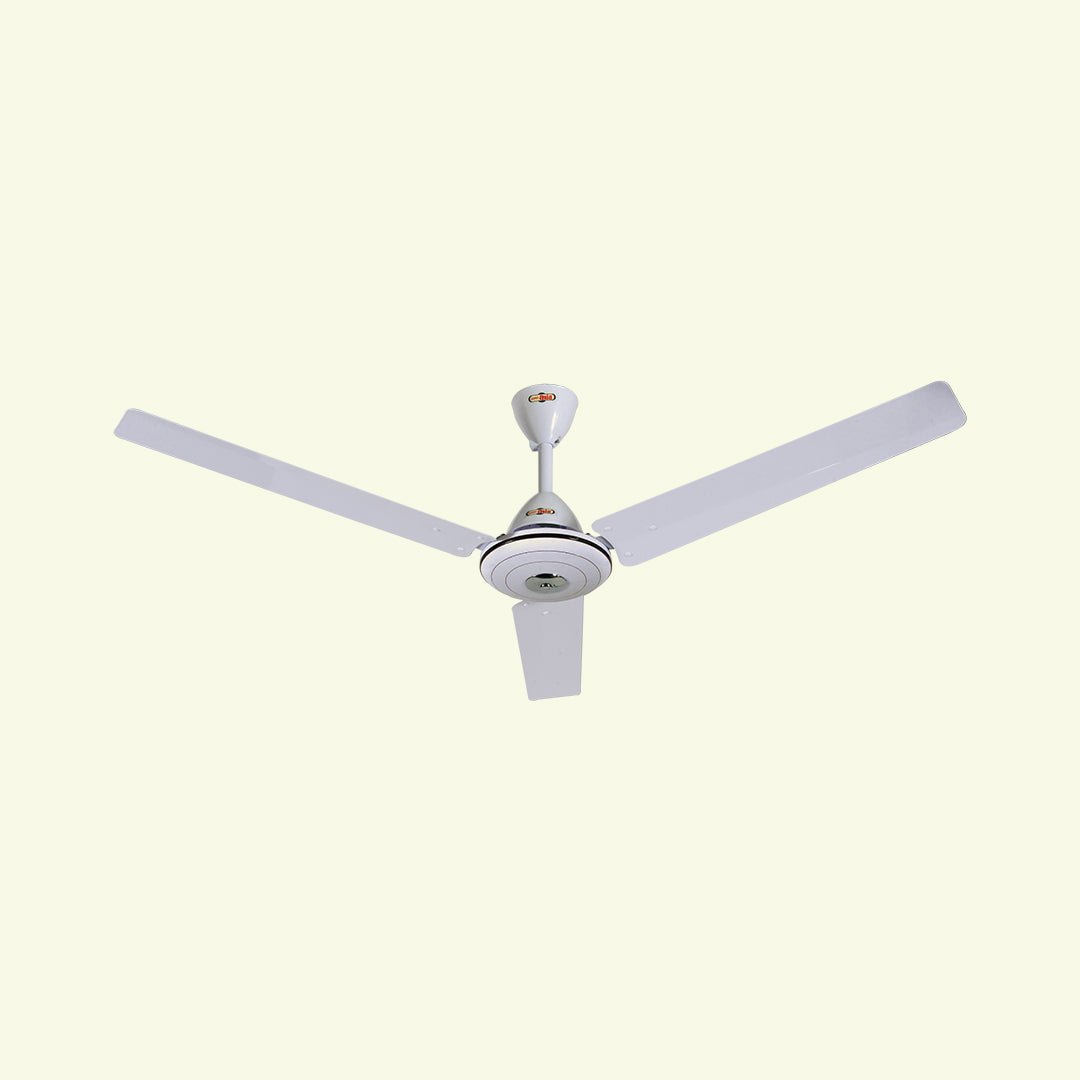 02--Safari SAFARI FAN - Image 1