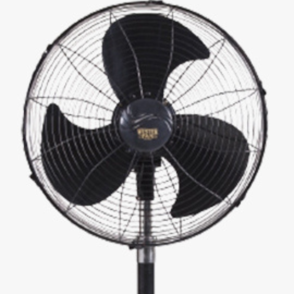 Untitled design - 2026-05-16T151731.635 Wester Pedestal Fan - Image 1